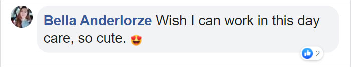 Photos Of Sleeping Pups In A Puppy Daycare Center Are Taking Over The Internet (24 Pics) Photos Of Sleeping Pups In A Puppy Daycare Center Are Taking Over The Internet (24 Pics)