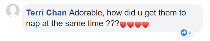 Photos Of Sleeping Pups In A Puppy Daycare Center Are Taking Over The Internet (24 Pics) Photos Of Sleeping Pups In A Puppy Daycare Center Are Taking Over The Internet (24 Pics)