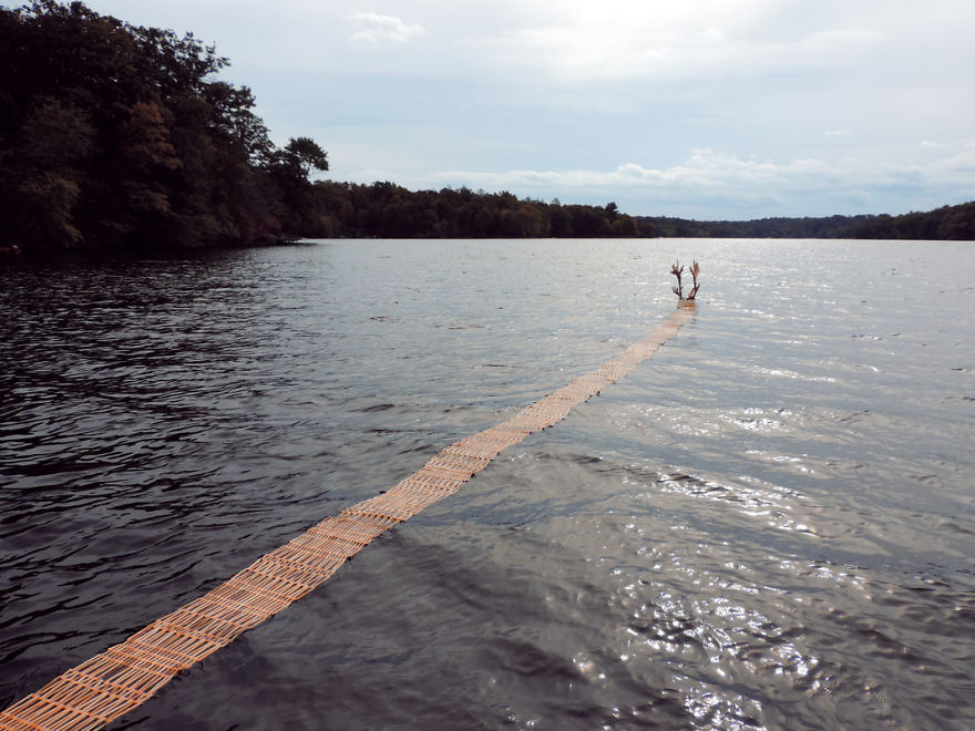 In The Distance A Great Black Caribou Passed