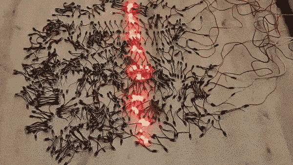 Engineer Shares A Video Of Christmas Tree Lights Turned Into A Snake Game Controlled With PS4 Controller