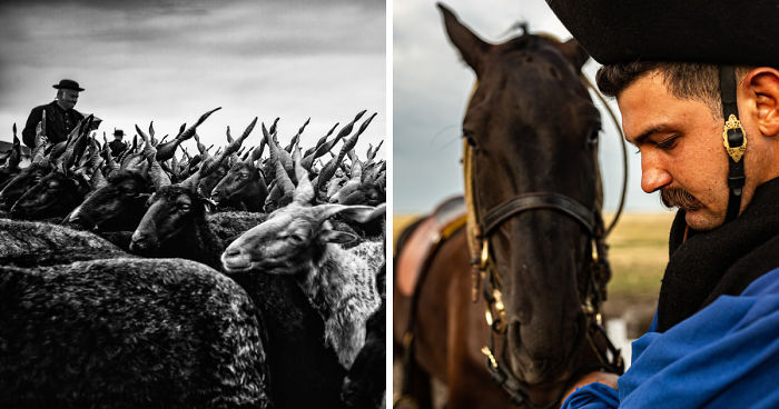 The Life Of The Traditional Shepherds Of Rural Hungary – Guardians Of The Past