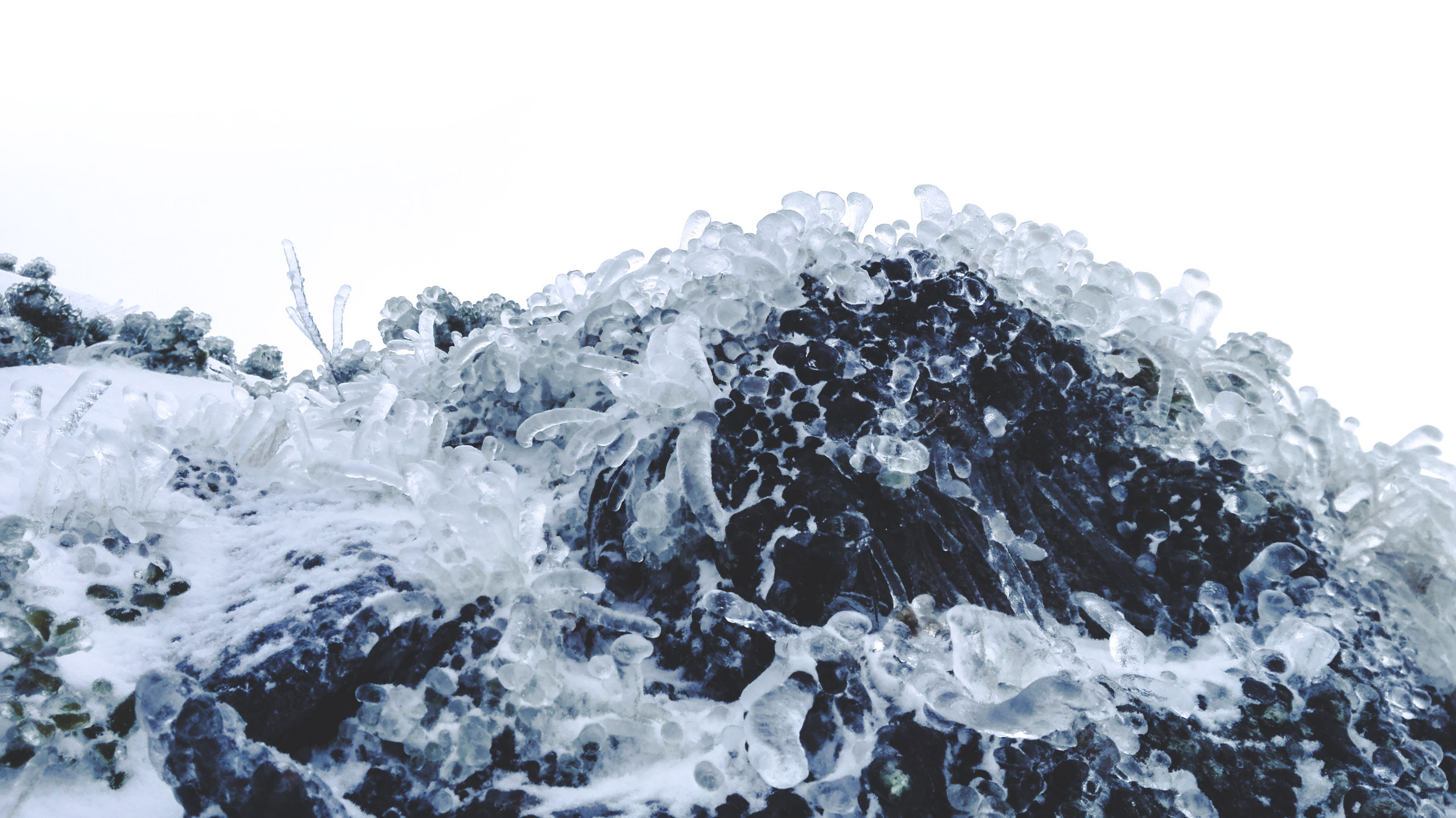 My 20 Photos Of Subalpine Area In Winter, Tatra Mountains