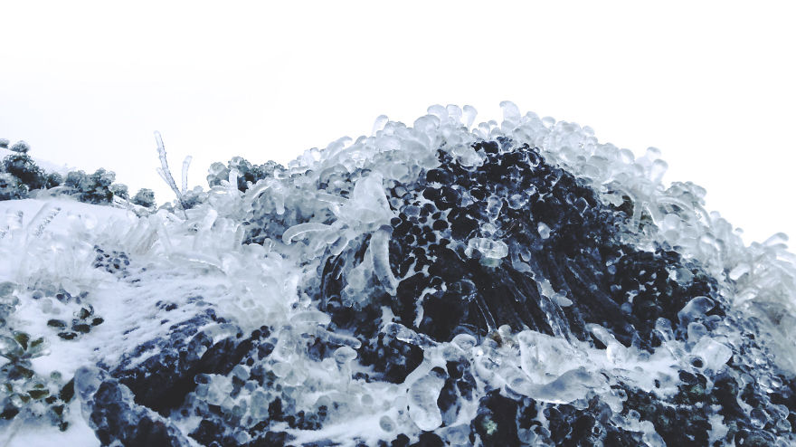 My 20 Photos Of Subalpine Area In Winter, Tatra Mountains