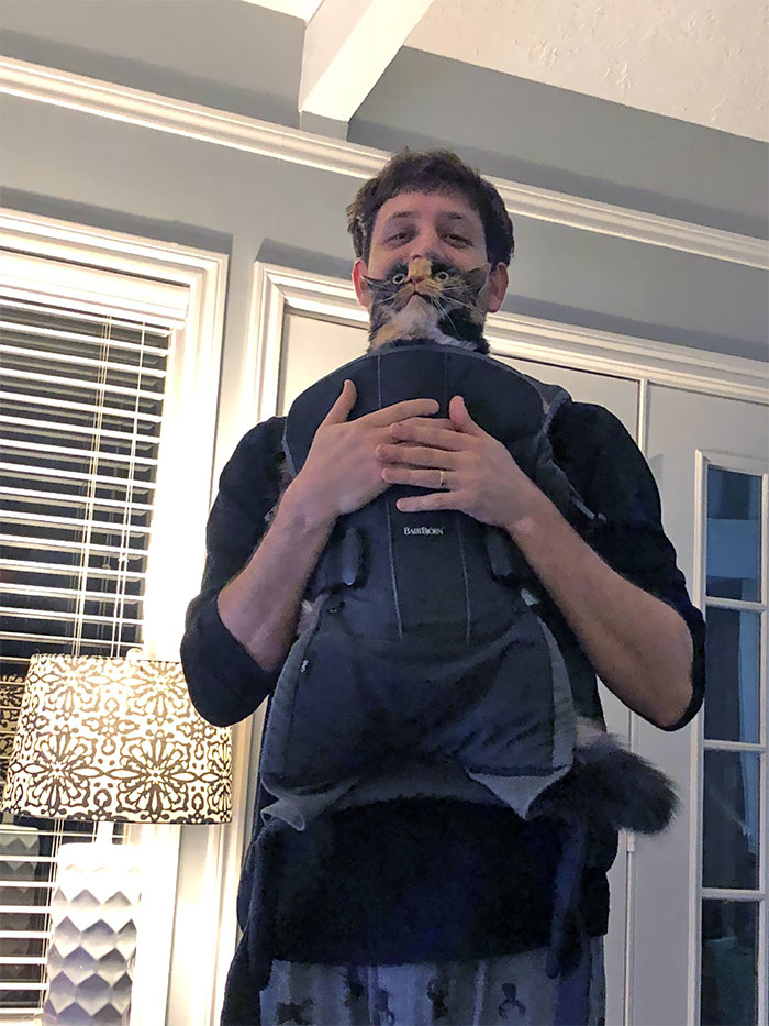 My Wife Said I Would Never Get Duchess In The Baby Bjorn