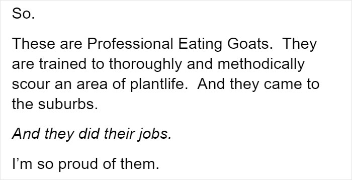 100 "Goats For Rent" Terrorize A Peaceful Neighborhood