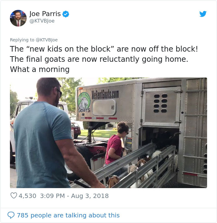 100 "Goats For Rent" Terrorize A Peaceful Neighborhood