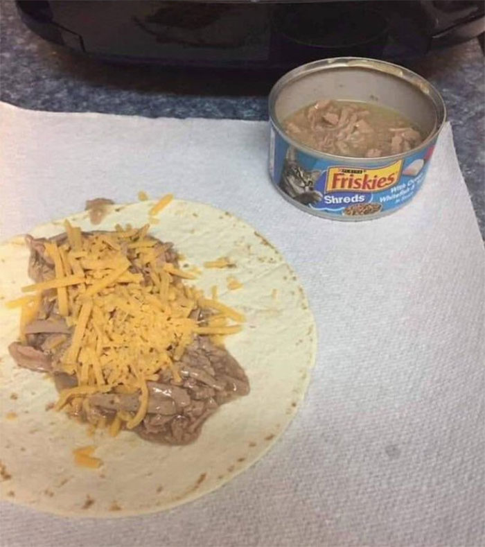 Burrito made with cat food 