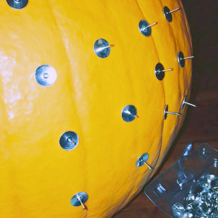Pumpkin with multiple needles 