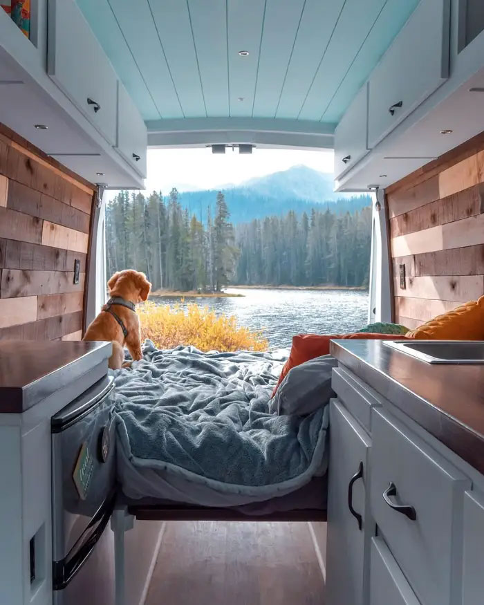 24-Year-Old Dumps Her Boyfriend, Quits Her Job, And Now Is Living The Van Life With Her Dog 24-Year-Old Dumps Her Boyfriend, Quits Her Job, And Now Is Living The Van Life With Her Dog