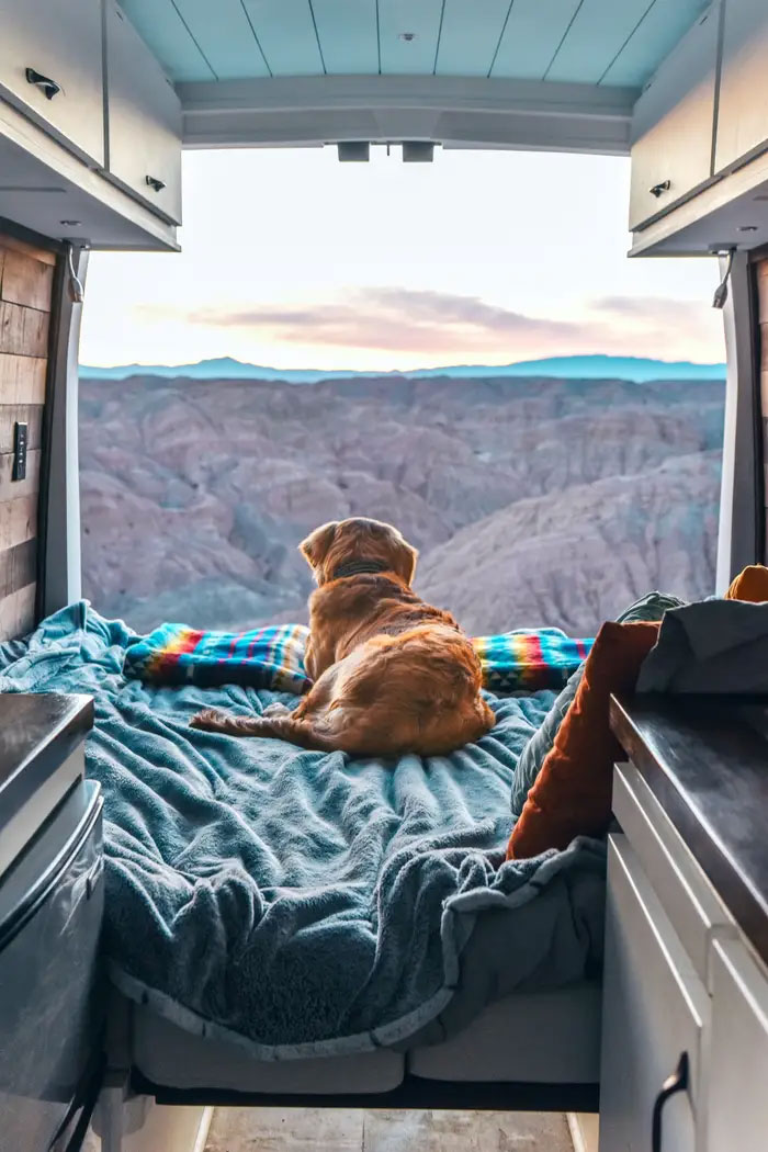 24-Year-Old Dumps Her Boyfriend, Quits Her Job, And Now Is Living The Van Life With Her Dog 24-Year-Old Dumps Her Boyfriend, Quits Her Job, And Now Is Living The Van Life With Her Dog