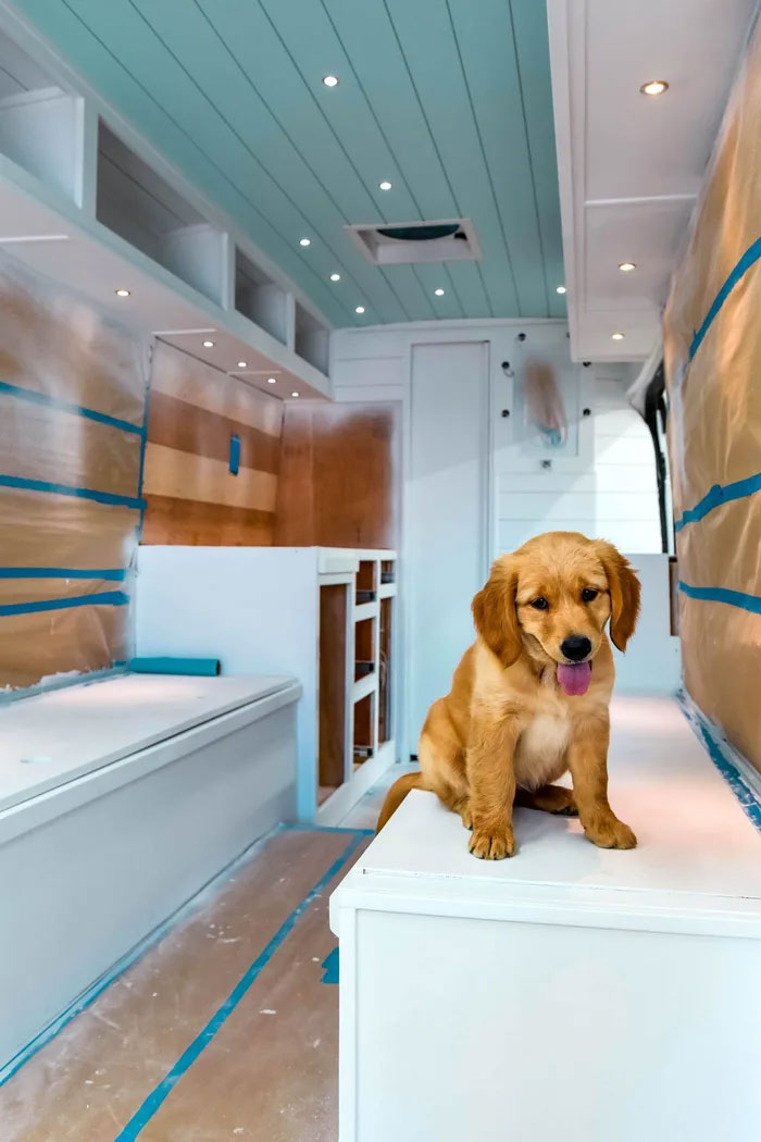 24-Year-Old Dumps Her Boyfriend, Quits Her Job, And Now Is Living The Van Life With Her Dog 24-Year-Old Dumps Her Boyfriend, Quits Her Job, And Now Is Living The Van Life With Her Dog