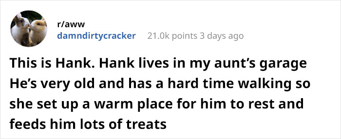 Woman Lets An Elderly Possum Stay In Her Garage, Her Nephew Posts Pic Online And It Goes Viral