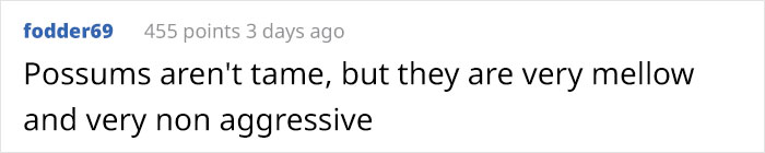 Woman Lets An Elderly Possum Stay In Her Garage, Her Nephew Posts Pic Online And It Goes Viral Woman Lets An Elderly Possum Stay In Her Garage, Her Nephew Posts Pic Online And It Goes Viral