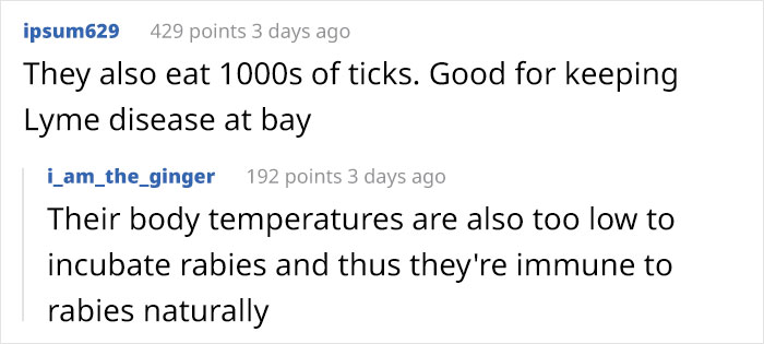 Woman Lets An Elderly Possum Stay In Her Garage, Her Nephew Posts Pic Online And It Goes Viral Woman Lets An Elderly Possum Stay In Her Garage, Her Nephew Posts Pic Online And It Goes Viral