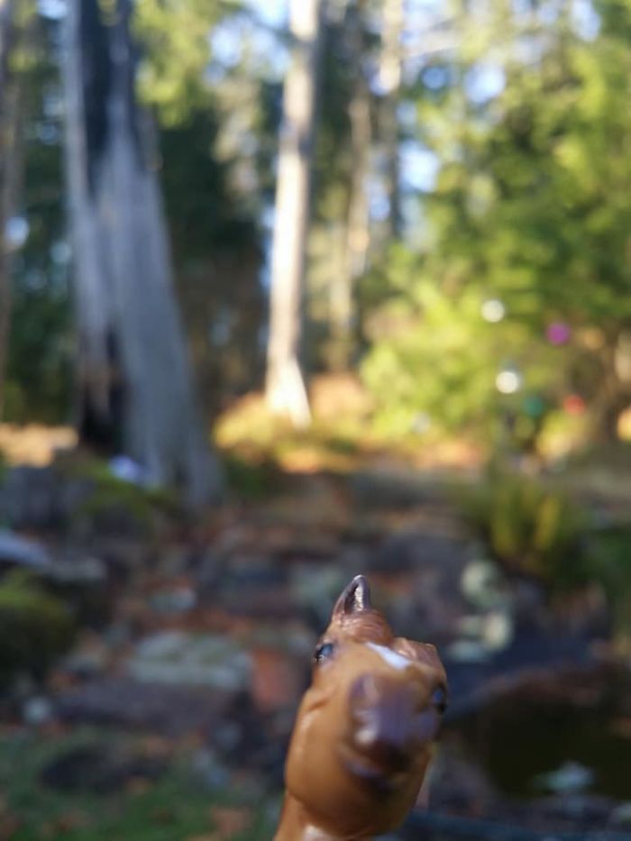 Girl Glues This Horse To Her Phone Case Expecting It To Be Easier To Grab, It Ends Up Photobombing Every Pic