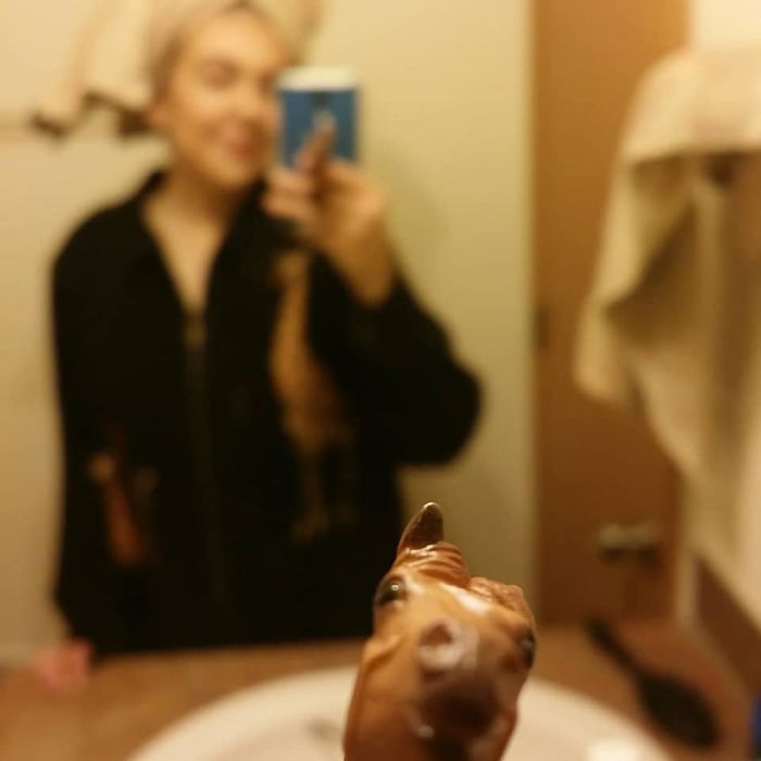 Girl Glues This Horse To Her Phone Case Expecting It To Be Easier To Grab, It Ends Up Photobombing Every Pic