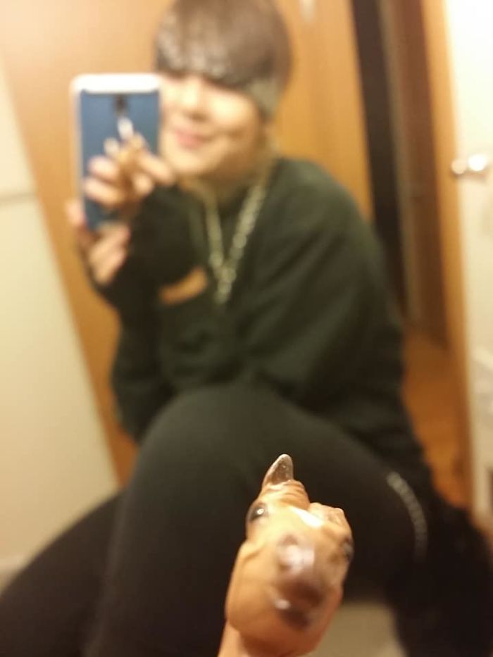 Girl Glues This Horse To Her Phone Case Expecting It To Be Easier To Grab, It Ends Up Photobombing Every Pic