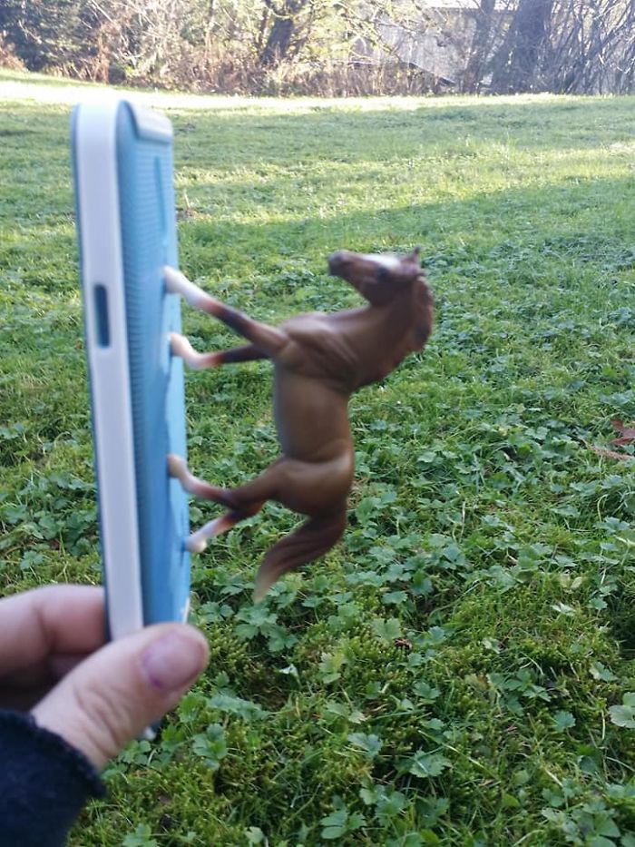 Girl Glues This Horse To Her Phone Case Expecting It To Be Easier To Grab, It Ends Up Photobombing Every Pic