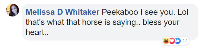 Girl Glues This Horse To Her Phone Case Expecting It To Be Easier To Grab, It Ends Up Photobombing Every Pic