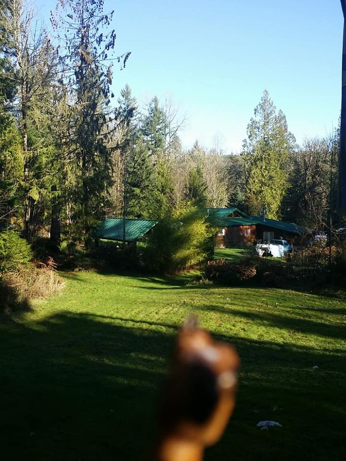 Girl Glues This Horse To Her Phone Case Expecting It To Be Easier To Grab, It Ends Up Photobombing Every Pic