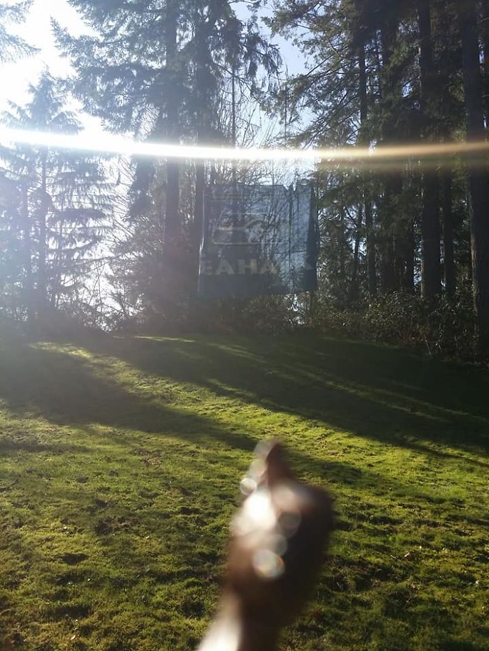 Girl Glues This Horse To Her Phone Case Expecting It To Be Easier To Grab, It Ends Up Photobombing Every Pic