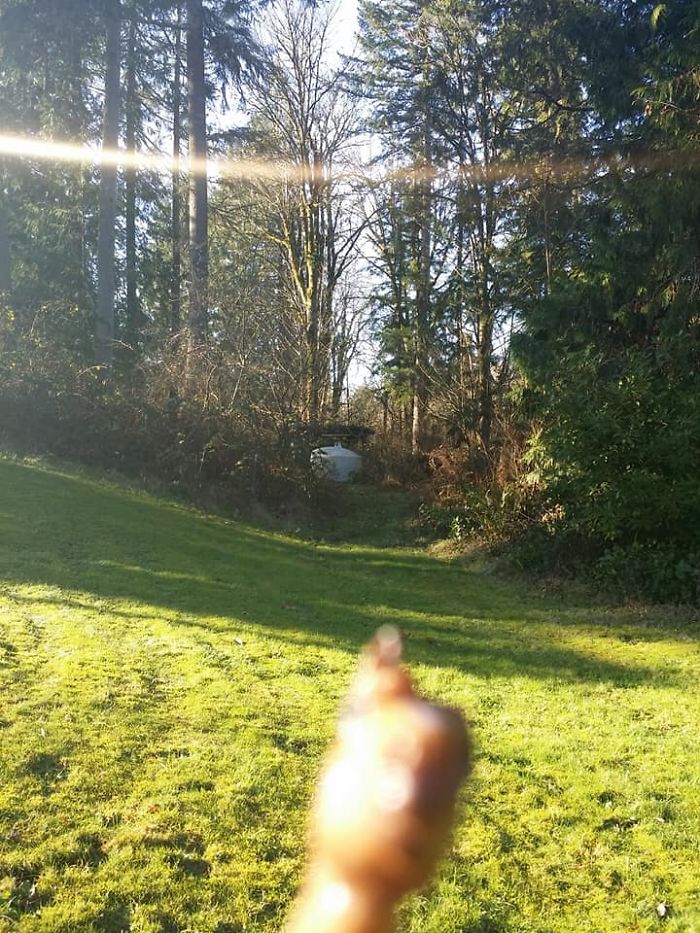 Girl Glues This Horse To Her Phone Case Expecting It To Be Easier To Grab, It Ends Up Photobombing Every Pic