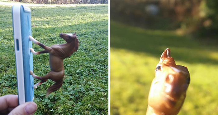 Girl Glues This Horse To Her Phone Case Expecting It To Be Easier To Grab, It Ends Up Photobombing Every Pic