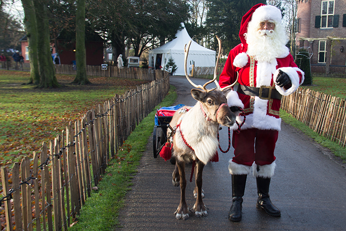 Kids Ask A Question About Santa’s Reindeer, Vets From All Around The World Respond Kids Ask A Question About Santa’s Reindeer, Vets From All Around The World Respond