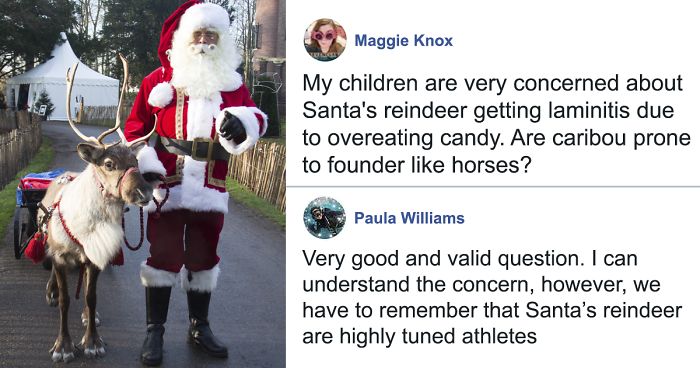 Kids Ask A Question About Santa’s Reindeer, Vets From All Around The World Respond