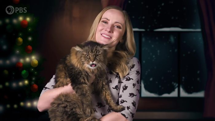 Woman holding a fluffy cat indoors with a Christmas tree and snow outside the window, inspired by Icelandic Yule Cat legend. Woman holding a fluffy cat indoors with a Christmas tree and snow outside the window, inspired by Icelandic Yule Cat legend.