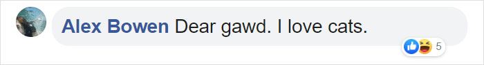 Facebook comment expressing love for cats, with likes and laughter reactions. Facebook comment expressing love for cats, with likes and laughter reactions.