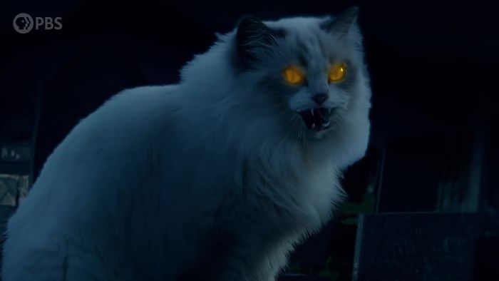 Giant Yule Cat with glowing eyes in a dark setting, representing Icelandic legend of J&oacute;lak&ouml;tturinn.