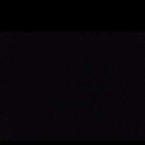 elisabethnischts avatar