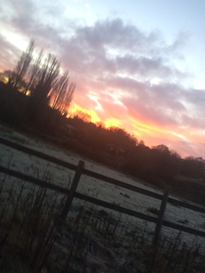 Photos Taken On My iPhone 5s