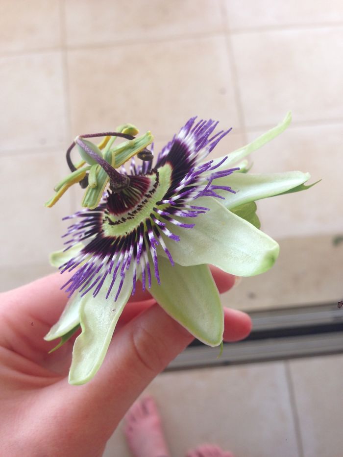 Photos Taken On My iPhone 5s