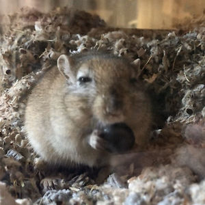 552e3b3a9d8b6 avatar