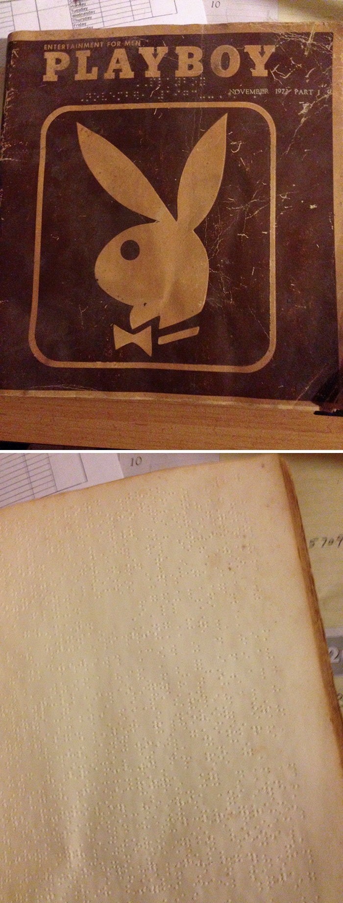 I Found An Old Playboy For The Blind