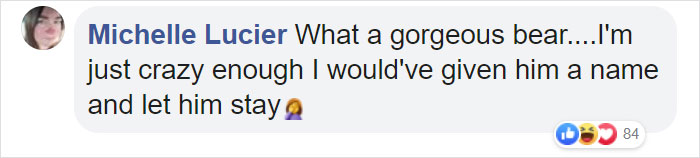 This Family Was Shocked To Find That A Giant Bear Has Moved In Under Their House