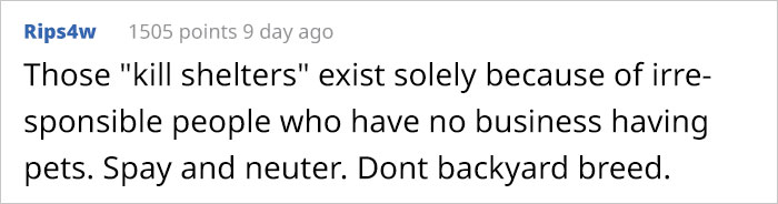 This Girl Explained The Difference Between A &lsquo;Kill&rsquo; And &lsquo;No-Kill&rsquo; Animal Shelter And It&rsquo;s Eye-Opening