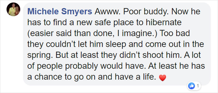 This Family Was Shocked To Find That A Giant Bear Has Moved In Under Their House