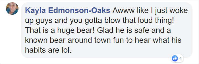 This Family Was Shocked To Find That A Giant Bear Has Moved In Under Their House