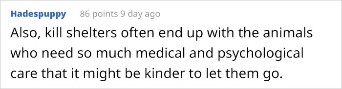 This Girl Explained The Difference Between A &lsquo;Kill&rsquo; And &lsquo;No-Kill&rsquo; Animal Shelter And It&rsquo;s Eye-Opening