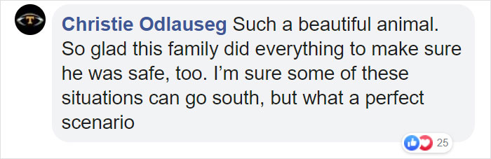 This Family Was Shocked To Find That A Giant Bear Has Moved In Under Their House