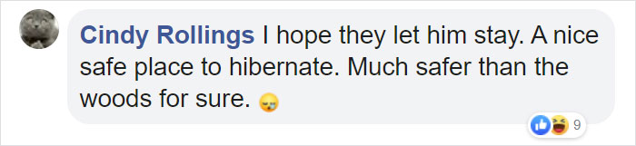 This Family Was Shocked To Find That A Giant Bear Has Moved In Under Their House