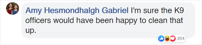Police Officers Investigate A Krispy Kreme Truck That Spilled Donuts All Over The Road, Crack People Up With Their Hilarious Report