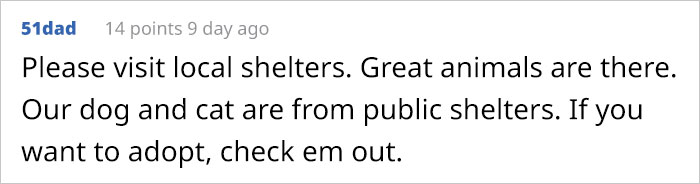 This Girl Explained The Difference Between A &lsquo;Kill&rsquo; And &lsquo;No-Kill&rsquo; Animal Shelter And It&rsquo;s Eye-Opening