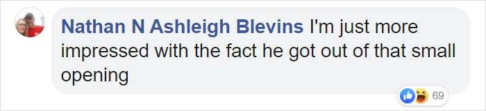 This Family Was Shocked To Find That A Giant Bear Has Moved In Under Their House