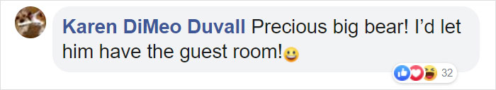 This Family Was Shocked To Find That A Giant Bear Has Moved In Under Their House
