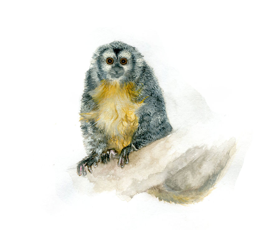 One Of My Realistic Painted Animals For Brno Zoo In The Czech Republic