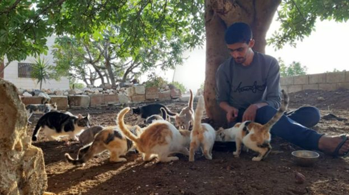 This Town Has More Cats Than People This Town Has More Cats Than People